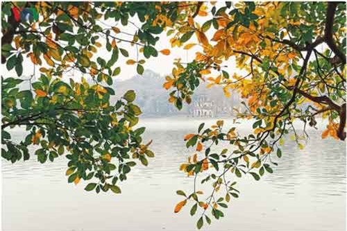 Hồ Gươm huyền ảo, lãng mạn trong lất phất mưa xuân