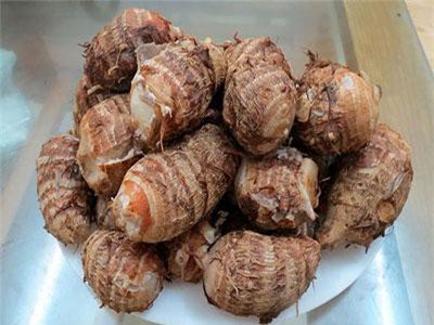 Cả làng không bệnh ung thư nhờ ăn củ 'thần dược' phổ biến ở Việt Nam