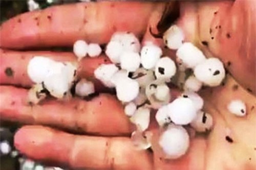 Mưa đá kéo dài 50 phút ở Mù Cang Chải