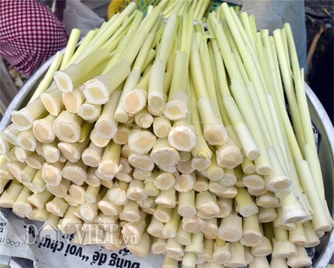 ca mau: sau tet, gia rau hoang dai nay van cao, kiem nua trieu/ngay hinh anh 1