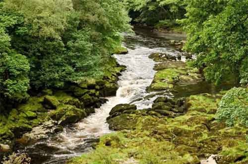 Lật tẩy dòng suối nhỏ xíu, tuyệt đẹp 'ăn thịt người'