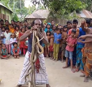 Clip: Người đàn ông đùa giỡn với cả đàn rắn hổ mang kịch độc