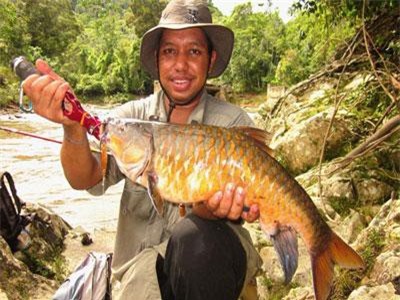 Cá đặc sản được mệnh danh 'vong bất liễu ngư' có giá quý như vàng