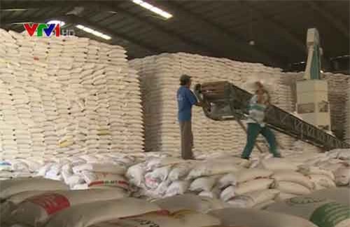 Doanh nghiệp Trung Quốc sẽ thu mua 100.000 tấn gạo Việt Nam