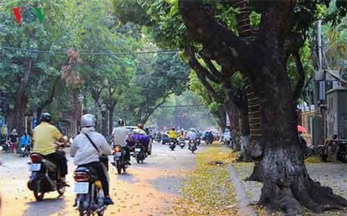 Chênh lệch nhiệt độ giữa ngày và đêm lớn tại Bắc miền Trung