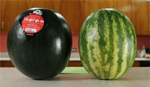 Quả dưa đắt tiền hơn 1 chiếc ô tô và 11 thực phẩm đắt giá nhất thế giới