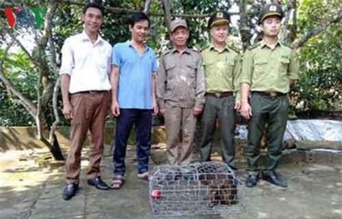 Người dân Quảng Bình giao nộp cá thể khỉ mặt đỏ quý hiếm