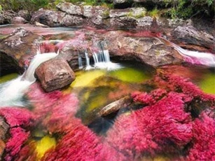 CLIP: Dòng sông kỳ lạ có 7 màu sắc cầu vồng ở Colombia