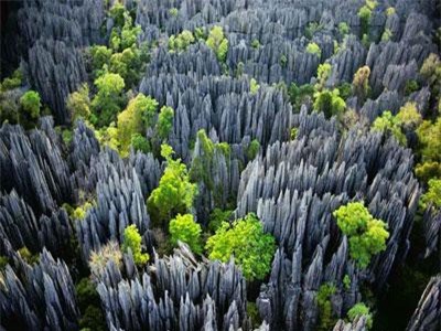 CLIP: Rừng đá vôi sắc như dao cạo ở Madagascar