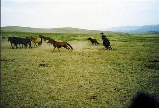 mong co bi an va day huyen bi la diem den khong the bo qua cua moi du khach ua kham pha hinh anh 5