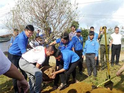 Xây dựng vườn hoa đào thanh niên 'độc nhất' tại xã miền núi Vĩnh Sơn