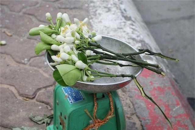 Hoa bưởi đầu mùa xuống phố, giá 300.000đ/kg vẫn “cháy hàng” - 5