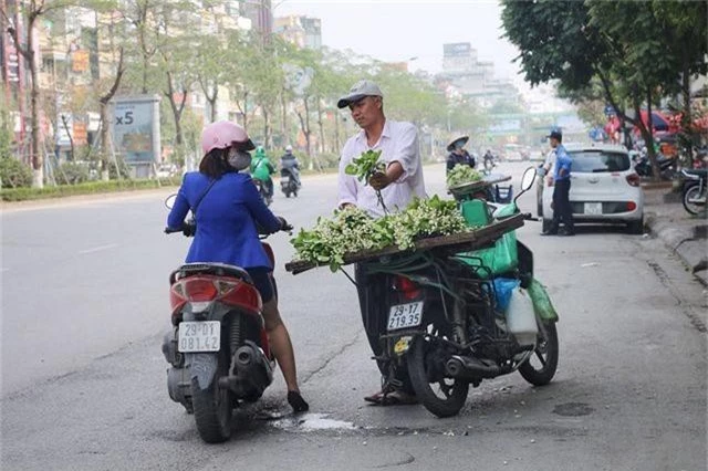 Hoa bưởi đầu mùa xuống phố, giá 300.000đ/kg vẫn “cháy hàng” - 6