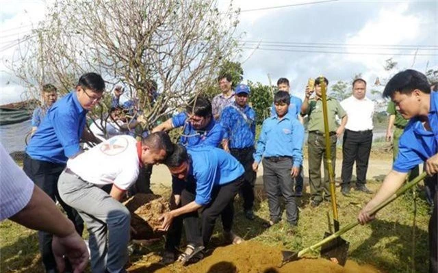 Xây dựng vườn hoa đào thanh niên “độc nhất” tại xã miền núi Vĩnh Sơn - 1