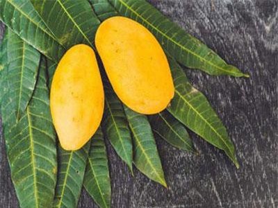 Bất ngờ với 13 lợi ích sức khỏe của quả xoài