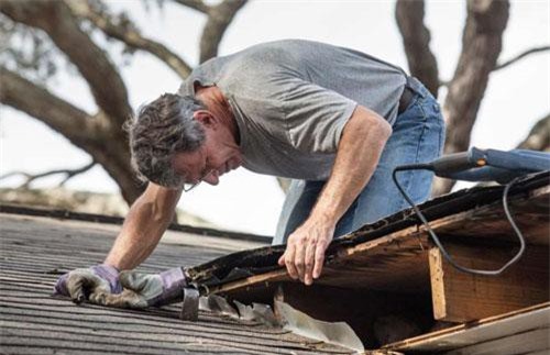 Những “kho báu” được phát hiện ở những nơi ít ai ngờ