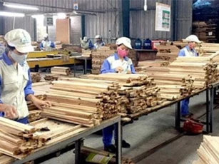 Kim ngạch xuất khẩu gỗ tăng trưởng ngoạn mục ở mức 2 con số