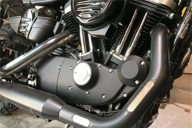 Minh Nhựa tậu siêu mô tô Harley-Davidson gần nửa tỷ đồng - 5..jpg