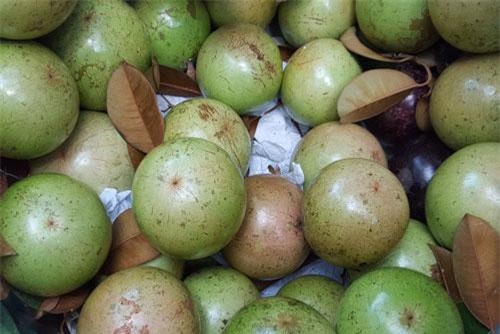 BẢN TIN TÀI CHÍNH-KINH DOANH: Nông dân ‘lao đao’ tìm đầu ra cho khoai lang Nhật, 100 tấn vú sữa ‘bay’ sang Mỹ