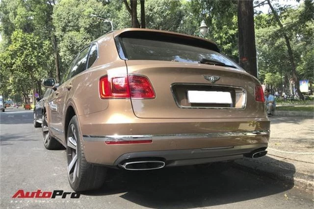 Bentley Bentayga First Edition đã hiếm nay còn hiếm hơn nhờ chi tiết này - Ảnh 8.