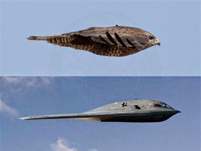 Thiết kế của máy bay B-2 là gì? Tại sao không có cánh đuôi?