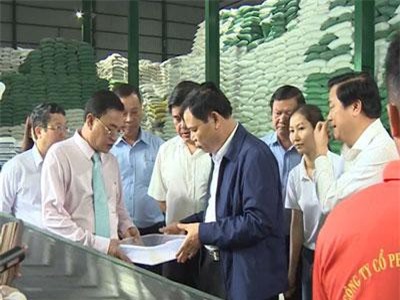 Khảo sát tình hình tiêu thụ lúa gạo tại ĐBSCL