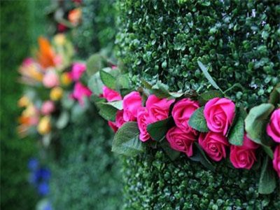 Lễ hội hoa hồng Bulgaria 2019 tại Hà Nội