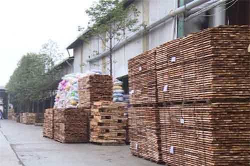Giải bài toán nguyên liệu cho ngành gỗ Việt Nam