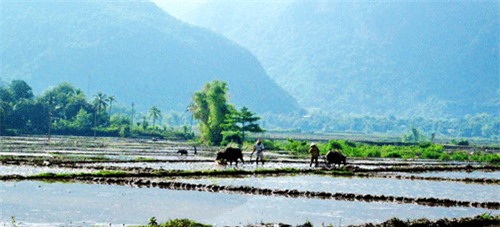 Mãn nhãn ngắm Mai Hịch vào mùa nước đổ
