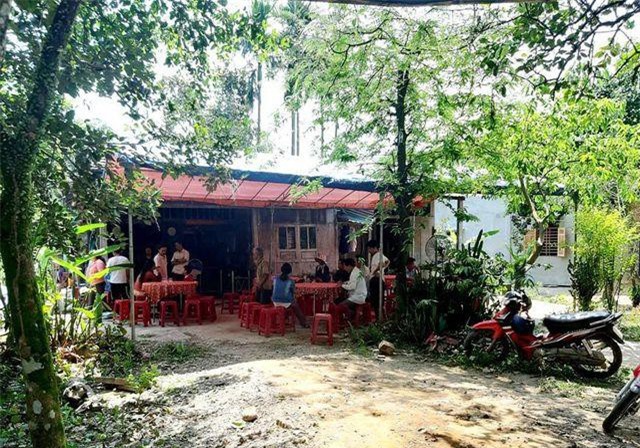 Quảng Nam: Chủ tịch Hội Chữ thập đỏ bị ong đốt tử vong