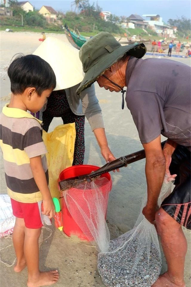 Mùa ốc gạo ở Quảng Nam