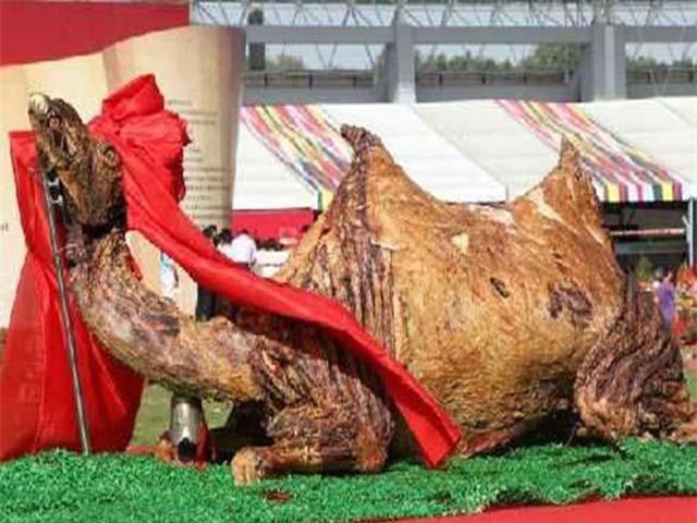 Bữa ăn khổng lồ của giới nhà giàu Dubai, cả chục người vây quanh và xé bằng tay