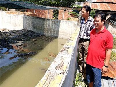 Nuôi loài cá 4 chân đáng sợ, bán 150 ngàn/ký