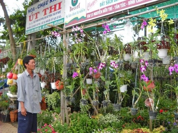 Festival Hoa lan TP.HCM diễn ra từ ngày 27/4 đến ngày 1/5/2019 (Ảnh TL)