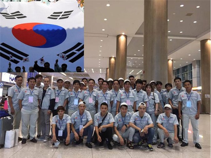 Tuyển chọn 1.500 lao động huyện nghèo sang Hàn Quốc làm việc trong ngành nông nghiệp