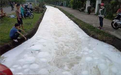 Quảng Nam: Bọt 'lạ' nổi dày đặc như bông, trôi đến đâu cá chết đến đó