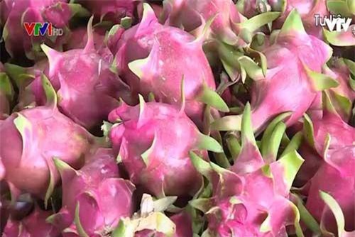 Phát triển xuất khẩu nông sản chính ngạch sang thị trường Trung Quốc