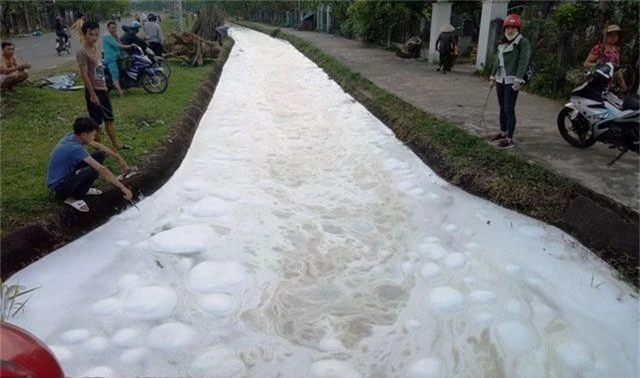 Bọt lạ nổi trắng kênh Phú Ninh