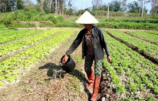 Bọt lạ nổi trắng kênh Phú Ninh