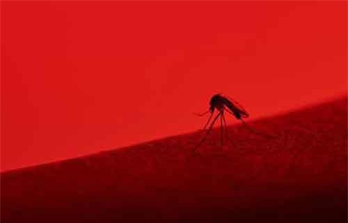 Trí tuệ nhân tạo có thể dự đoán sự bùng phát của dịch bệnh