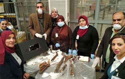 Xác ướp Ai Cập cổ đại nhập lậu bị nhồi nhét vào… loa