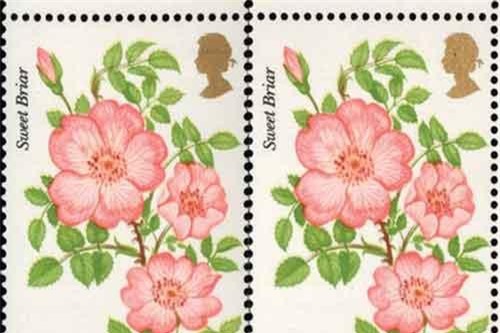 Bán con tem cũ, thu ngay 17 tỷ đồng