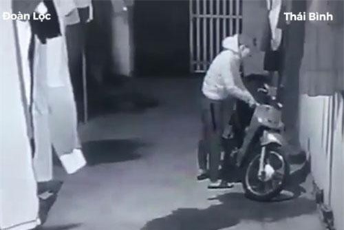 CLIP HOT (1/3): Người đàn ông vào khu trọ trộm xe máy, cuộc chiến khốc liệt giữa cầy và rắn