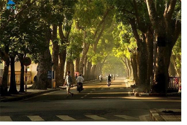 Những tuyến đường phục vụ chuyến thăm của Chủ tịch Triều Tiên