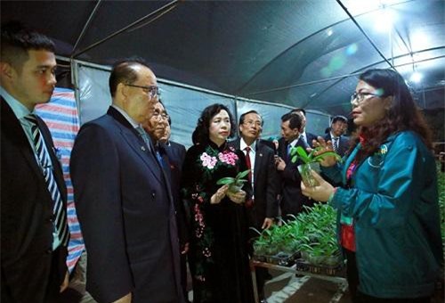Phái đoàn Triều Tiên ấn tượng về mô hình nông nghiệp ứng dụng công nghệ cao ở Đan Phượng