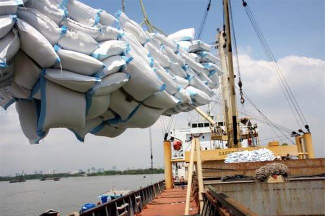 Gạo chất lượng cao hút hàng cả xuất khẩu và thị trường nội địa