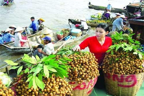 Nông sản sang Trung Quốc: Cửa vẫn rộng nếu không 'chộp giật'