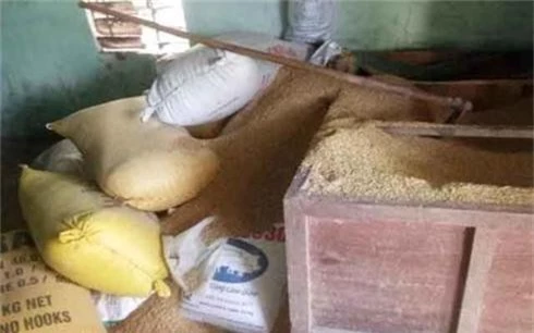 cong an khoanh vung doi tuong vu 49 cay vang trong dong thoc bi danh cap  hinh 1