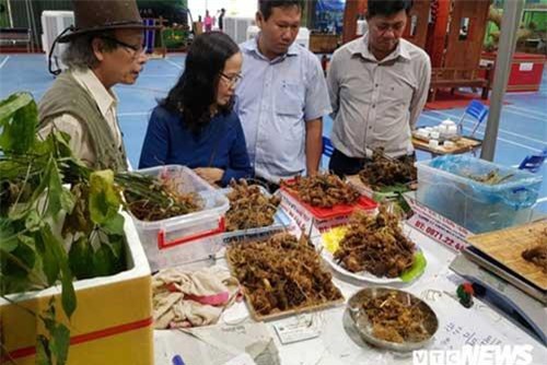 Phiên chợ sâm Ngọc Linh: Bán 27kg sâm củ thu về gần 2,3 tỷ đồng