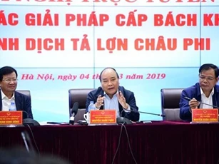 Dịch tả lợn Châu Phi: Lãnh đạo các địa phương phải chịu trách nhiệm về phòng, chống dịch